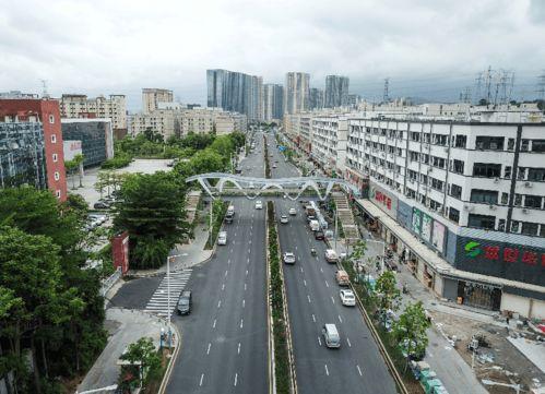 龙华大浪爆料最新消息新闻  第3张